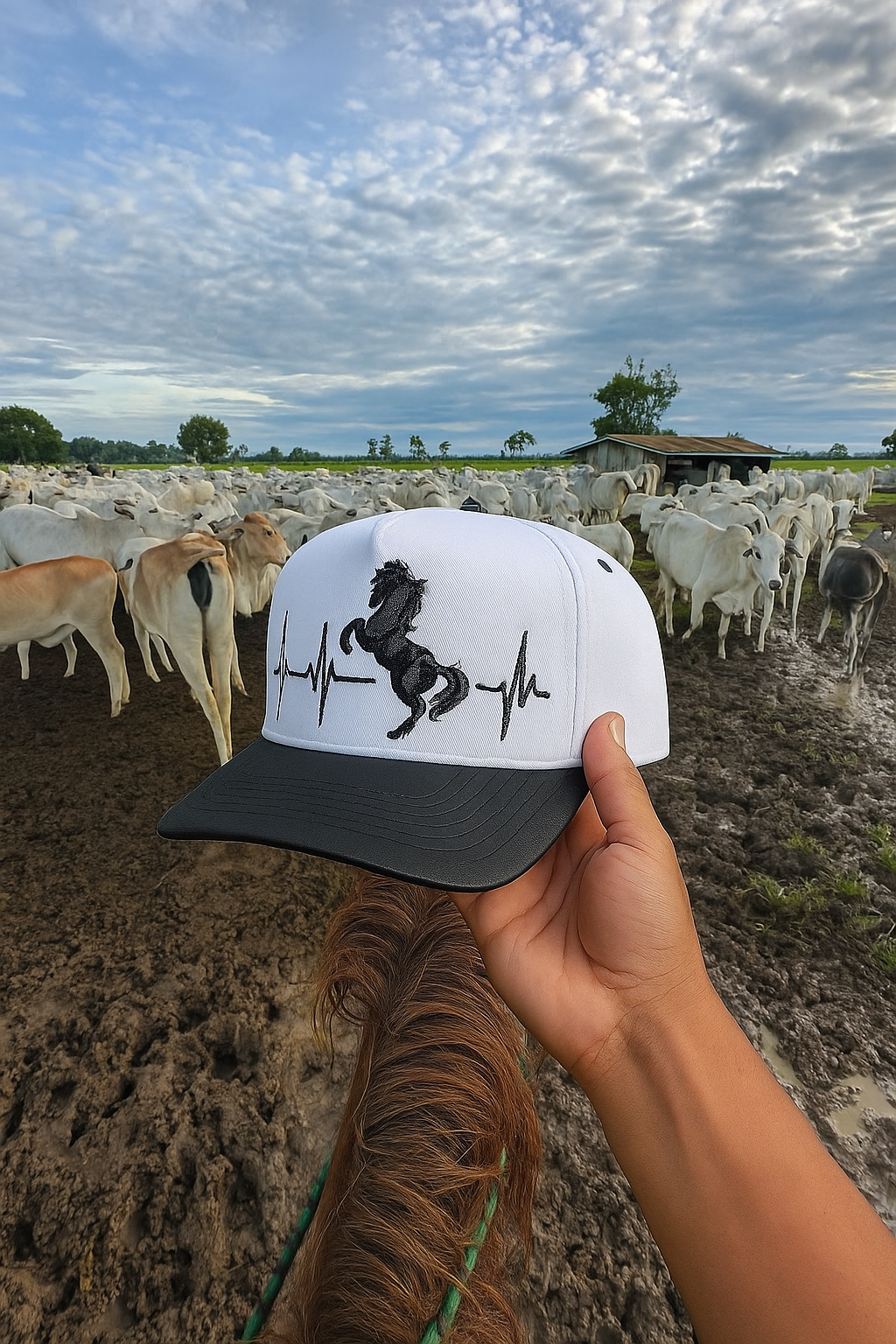 Gorra Limitada Horse I 20 Pieces